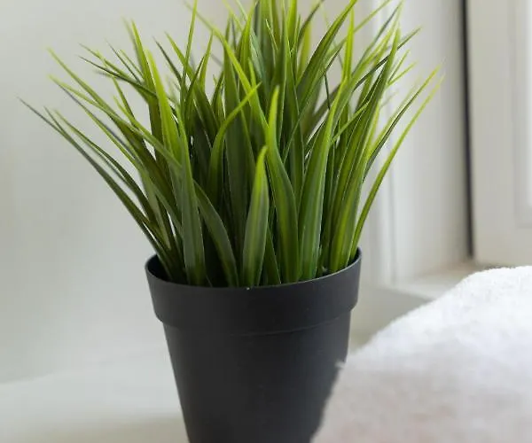 Haus Sterntaucher Vakantiehuis